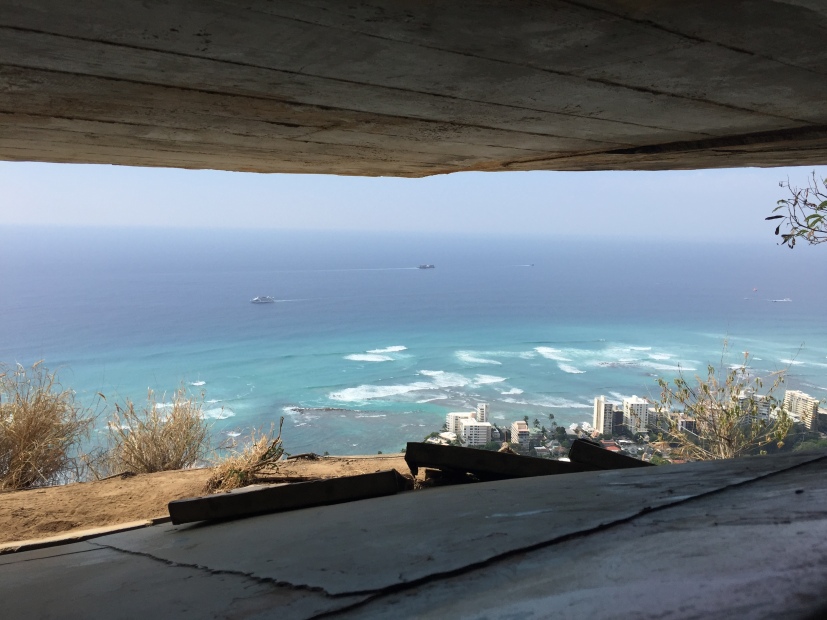 The view from inside the lookout